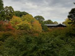 紅葉には少し早いけれど、静かな東福寺。