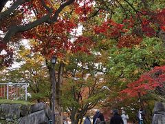 紅葉狩りドライブ  盛岡城跡公園から鶯宿温泉に。雄大な岩手山を望む