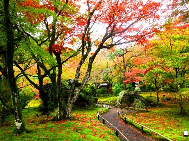 2015年紅葉めぐり第1弾として、嵐山の天龍寺・宝厳院を訪ね、<br />石庭で有名な龍安寺をお参りしました。