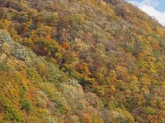 紅葉狩り  釜石、仙人峠の紅葉を楽しむ