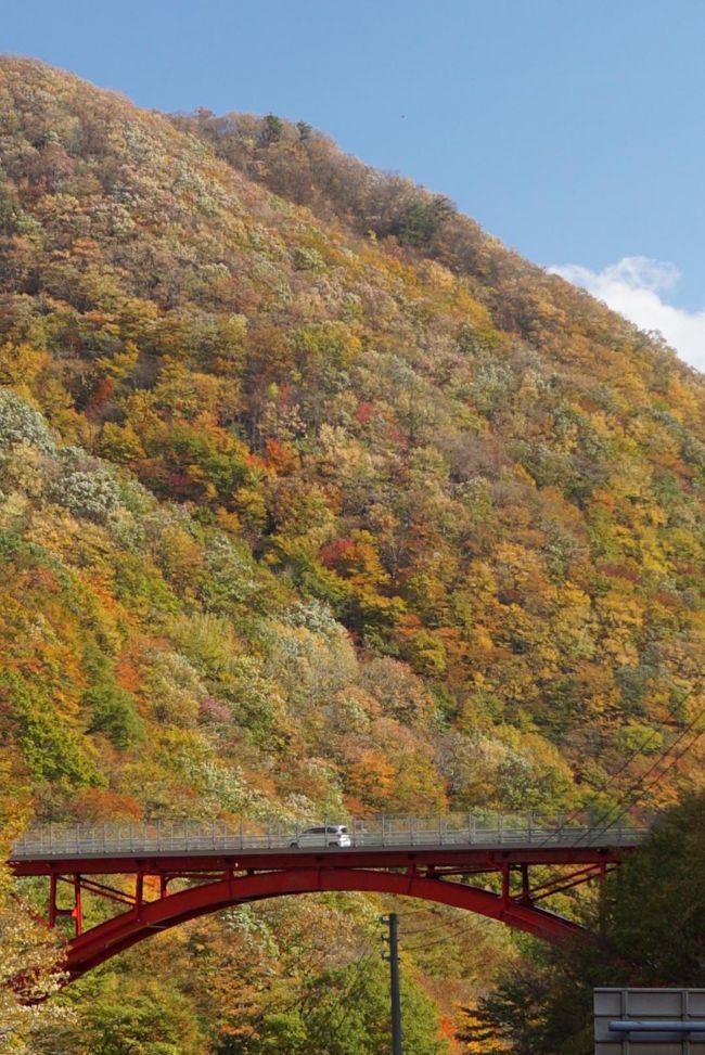 鶯宿の温泉に一泊後、レンタカーで花巻、遠野を抜け紅葉の名所、仙人峠で紅葉狩りをし、麓の陸中大橋に立ち寄って釜石市まで駆け抜けた旅です。<br />（前の旅行記は盛岡城跡公園、鶯宿温泉宿泊まで）<br />遠野から仙人峠を抜けるドライブコースは10月中旬から11月上旬にかけて一面紅葉になり走りながら紅葉狩りを楽しめます。<br />（今年は11月上旬から見どころになりました。このため写真は色が艶やかでなく本来の紅葉をお伝えできないのが残念です）<br />仙人峠を抜けるには旧道を通らねばなりませんが、帰路に高速道を使えば高速道を取り囲む山々の紅葉に包まれて走ることができ、違った紅葉狩りを楽しむことができます。<br />遠野、仙人峠、釜石の組み合わせが紅葉と合わせこのエリアを楽しむ秘訣と思います。