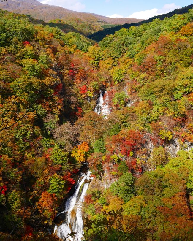 人生初!紅葉の時期に日光へ行ってきました。<br /><br />日光の紅葉、いつか行ってみたいけど混むでしょ?いろは坂の渋滞とかすごいって言うし。。で、なかなか行く機会がありませんでしたが、ついに実現しました♪ヽ( ´¬`)ノ <br /><br />でもやっぱり渋滞はイヤ。。<br />定番の明智平展望台から眺める華厳の滝や、中禅寺湖も気になるけど、他にも素敵な場所があるはず!<br /><br />ということで、混んでいそうなところを避けたコースを行ってみることにしました('∇')♪<br /><br />日光の社寺エリア → 霧降の滝 → 霧降高原 → 川俣湖(ダム)→ 湯ノ湖 → 湯滝 → 竜頭の滝 → 中禅寺湖 → 日光二荒山神社中宮祠 → 宇都宮駅<br /><br />いざ、紅葉の日光へ!! ─=≡Σ((( っ'∀')っ