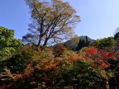 英彦山の紅葉