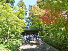 紅葉の下見：鎌倉・円覚寺、逗子・岩殿寺（岩殿観音）