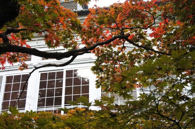 菊華荘の紅葉もいいけど、建物だと西洋館が一番映えそうかな。