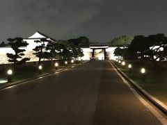 よるの大阪城