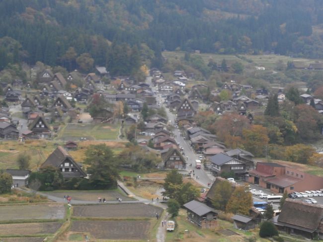 雨の八尾を歩き、午後は白川萩町散策、終日雨だったが、萩町を出る頃には雨が止む。