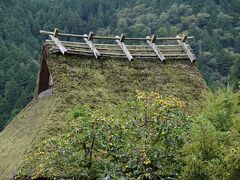 2016　京都の旅　5/5　美山　（２日目）