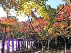 久しぶりの神戸・有馬温泉(1)