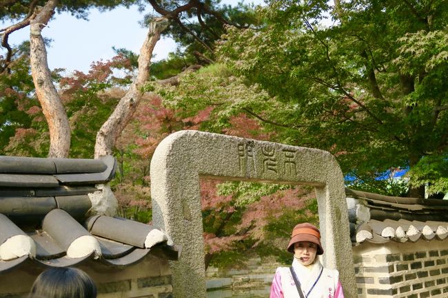 ソウルの紅葉が見たい!<br /><br />連休が取れたので、妹と1泊でソウルの紅葉を目指して行ってきました♪<br />2015年GW以来、3度目のソウルです。<br />滞在時間は32時間。<br />今回は、どこまで飲み食い出来るでしょうか?<br /><br />2日目の後編は、紅葉が楽しめそうな昌徳宮の秘苑を再訪し、念願のタッカンマリを食べることがメイン。天気も良く、素敵な1日になりました。<br />ただ、旅の最後にまた一つやらかしてしまいました… ^^;<br /><br />【1日目】 http://4travel.jp/travelogue/11186331<br />羽田国際空港 8:50発 NH861 → 金浦国際空港着 → 新羅ホテルcheck in → 石垣道 → 明洞で神仙ソルロンタン → 徳寿宮 → 眞味食堂でカンジャンケジャン → 新羅ホテルスパ<br /><br />【2日目】 http://4travel.jp/travelogue/11186335<br />エグゼクティブラウンジで朝食 → 昌徳宮、秘苑 → コンヌンタッカンマリ → 金浦国際空港 20:30発 NH868 → 羽田国際空港着<br /><br />※ 為替 1万円 → KW 109500<br />