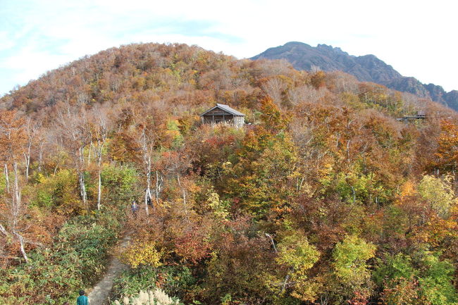 クラブツーリズムの1泊2日のバスツアーで、八海山ロープウェイと苗場ドラゴンドラに乗ってきました。<br /><br />初日は、朝8時半に新宿都庁前を出発し、八海山に向かいましたが、途中の関越道で渋滞に巻き込まれ、当初の予定を変更し、まずは石打駅から2つ目の上越国際スキー場前駅まで上越線に体験乗車をしてから、八海山に向かうこととなりました。<br />八海山ロープウェイで山頂駅周辺の紅葉を見た後は、しゃくなげ湖を見学し、苗場プリンスっホテルに宿泊です。<br />ホテルには予定より約1時間程度遅れて6時過ぎの到着となりました。<br /><br />