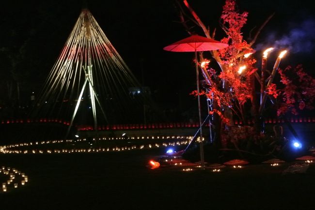 毎年、１１月のこの時期に緑がいっぱいの広大な別府公園で一夜だけの淡い光の祭典があります。今年、初めて見に行きましたが、とても幻想的でした。