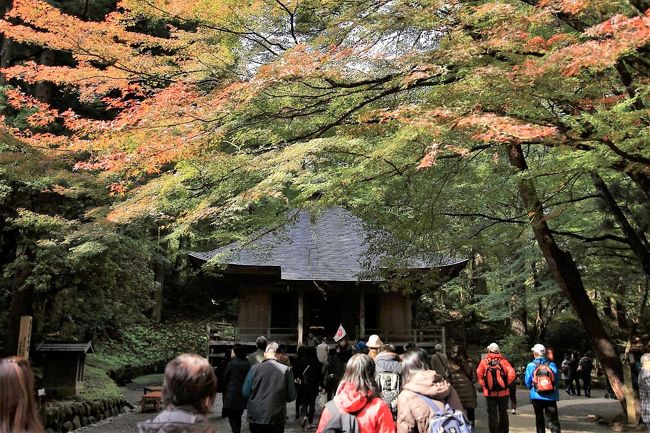 みちのく秋彩巡り　平泉・中尊寺