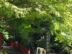 懐かしいお寺を日帰りで巡る特別拝観紅葉にはまだ早い；今熊野観音寺、清水寺、六波羅蜜寺、六角堂、革堂（西国三十三所15,16,17,18,19）