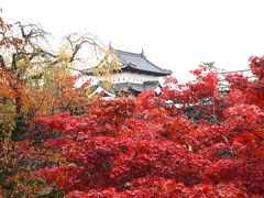 東北紅葉巡り旅  2日目・弘前