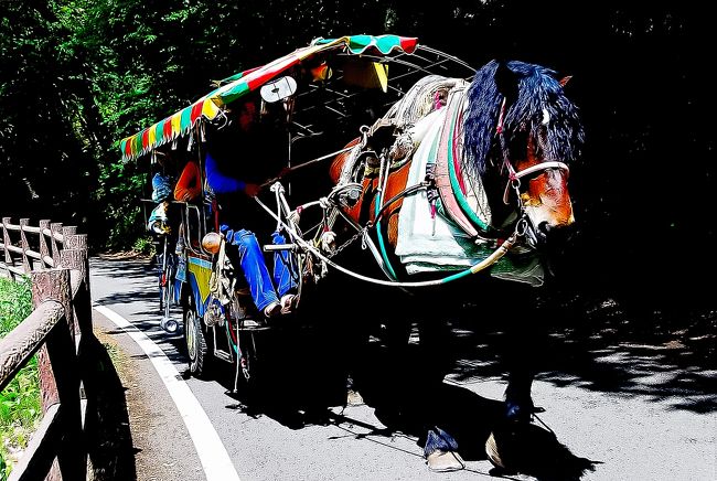 前編の甲府市内編を投稿してから約3ヶ月経っちゃいました。<br />後編は昇仙峡編となります。<br /><br />尚、今回より最新版の編集ソフトでリニューアルしました。<br />さすがに8年前のソフトに比べてだいぶ進化して写りもよくなったかな？と思っています。<br />jpeg→jpegへの編集だったのでそれほど時間も掛かりませんでした。<br /><br />それではご覧下さい。<br /><br />