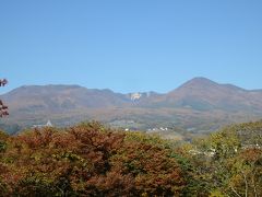 紅葉の上田城址公園＆真田丸大河ドラマ館と小諸懐古園散策