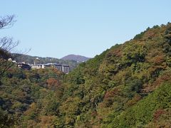 箱根の紅葉はまだまだ先（11月5日）