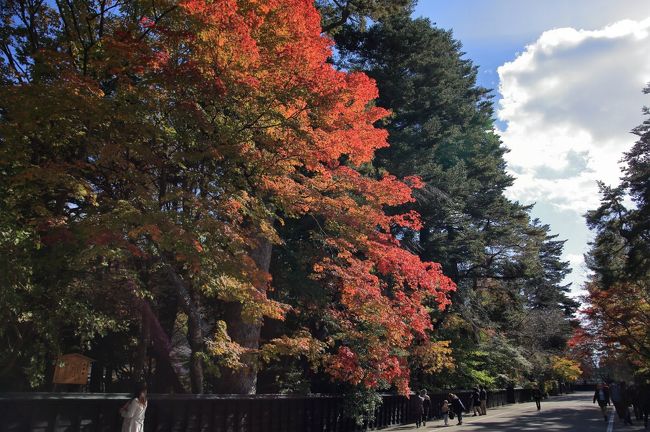 みちのくの旅 3日目<br />抱返り渓谷の紅葉を楽しんだ後、次の訪問地 みちのく小京都 角館を訪れた。<br /><br />角館11時頃到着<br />西宮家で、少し早目の昼食を済ませて武家屋敷通りを散策する<br /><br />表紙の写真は、武家屋敷通りにて<br /><br />角館<br />http://kakunodate-kanko.jp/