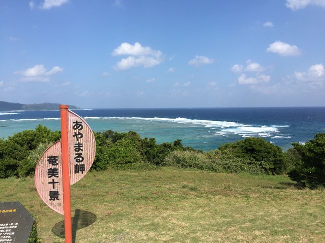 初めての『奄美大島』<br /><br />何時かは行きたいとゎ思っていましたけど、なかなかきっかけが無かったのですが、今回航空券が安かったから思い立って行って来ました(笑)<br /> <br />(1)初 日 成田空港 ===> 奄美大島 夕方到着 ===> ホテルへ<br />(2)2日目 マングローブ原生林 ===> 高知山展望台 ===> 大浜海浜公園など ===> ホテル<br />(3)3日目 ばしゃ山海水浴場 ===> あやまる岬 ===> 奄美空港 ===> 成田空港<br /> <br />※写真はiPhone6で取ったので、あまりよくありません。<br /><br /><br /><br /><br /><br /><br />