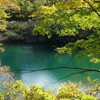 みちのくの古代巡りとちょい紅葉の旅（二日目）～角館武家屋敷の紅葉は人間の営みを感じる屋敷林だからこその美しさ。秋晴れの抱返り渓谷は、裏もみじの先に見える不思議な川の青さが見どころです～