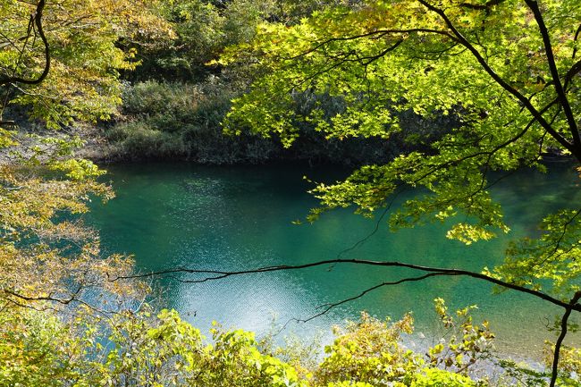 今日は、角館をベースにして武家屋敷と抱返り渓谷の紅葉を楽しみます。<br /><br />特に、抱返り渓谷の紅葉は、シーズンになると東京でもよく宣伝していて、秋田を代表する紅葉スポットとして知られています。今回初めて訪ねましたが、その特徴は、川の青さ。ポスターで見るほどの青さではないように思いましたが、やはり、その美しさはここならでは。奥に進むにつれて深い渓谷となっていて、釣り橋とかちょっと腰が引けるような場所もありました。<br /><br />抱返り渓谷の紅葉祭の間だけだと思いますが、角館駅から抱返り渓谷までは無料のシャトルバスがあって、それを利用して訪ねました。広い駐車場の一角には地元の食べ物を扱う出店も出ていて、けっこう賑やか。近くにはお店とかはまったくないので、これは助かります。<br /><br />ただ、一方でおまけのように思っていた武家屋敷の紅葉が意外な美しさ。長い歴史を経た街や建物とのコラボはここでしか味わえないもの。価値ある紅葉だったかなと思います。<br /><br />＜参考＞<br />桜の時期の角館武家屋敷<br />http://4travel.jp/travelogue/11124752<br /><br />夏の角館<br />http://4travel.jp/travelogue/10804461