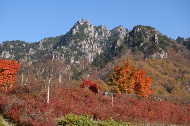 前日の北岳に登り、一度千葉の自宅に戻り再度山梨へ登山に来ました。<br />本日も終始快晴で気持ちの良い登山となり、前日の北岳がハードな登山と打って変わっての穏やかや山行でした。<br />初めに瑞牆山に登った時との印象と違い凄く楽な登山に感じられました。<br />周回ルートは初めてで自然公園付近が少し分かりにくい感じでした。<br />富士見小屋からも気を付けないと瑞牆山荘へ降りて行きそうになりました。 