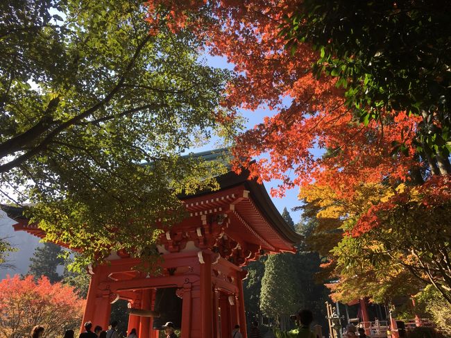 週末に関西で用事があったので、ついでに観光してきました。<br /><br />第１日は、比叡山を訪ねます！<br /><br />第１日：比叡山延暦寺－京都市街横断－福知山泊