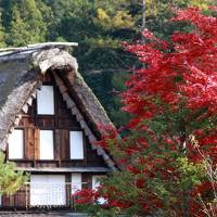 ■ 奥飛騨紅葉狩りの旅　＜岐阜県＞