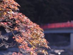 刀削麺食べたくて一人で香嵐渓。分かっちゃいたけど紅葉には早過ぎた。