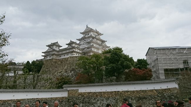 身内７名で行く西日本周遊の３泊４日旅。この旅行記では姫路・神戸観光をまとめております。姫路駅到着から空港へ向かうまでの写真を掲載しています。<br /><br />福岡山口広島を巡り、やって来たのは兵庫県。世界遺産姫路城を見学した後、レンタカーで神戸へ向かいます。楽しかった旅もこの日が最終日。大きなトラブルも無く無事旅行を終えることが出来たのか…乞うご期待！