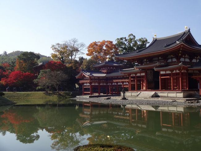 京都旅行最終日は今まで行きたくて行けなかった平等院、そして石山寺を初めて訪れました。<br /><br />お天気は初日同様快晴！<br /><br />今迄１０円玉や１万円札でしか見たことがなかった(笑)平等院鳳凰堂は静かに、そして石山寺は威風堂々としたものでした。<br /><br />三日間ともお天気に恵まれましたが、この最終日はさらに紅葉が引き立つ暖かな青い空に古刹が引き立ちました。<br /><br />連日の好天と紅葉に加え、安全な旅ができたことに感謝して帰路につきましたーーー。
