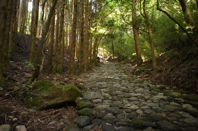 たかぢ、けんいちの２人旅です。<br /><br />東海道の難所であった箱根旧街道を、芦ノ湖・元箱根までハイキングです。道が整備されていない時代に思いを馳せて、残暑の中をヘトヘトになりながら歩きました。