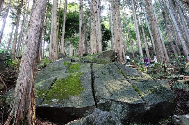 美術館巡りで素晴らしい作品に出会えるのは勿論楽しい事ですが、雲一つ無い空を見上げるたびに、何処かへ行きたいとついつい贅沢な思いに駆られます(正確に言ってしまえば、出かけないとイライラが溜まっちゃう)。<br />とは言え、月半ばにまたまたまたまた中国へ出かける予定も有り、そうそう遠出は出来ません。<br />久々の土日休みとなったこの週、近場の関東地方でイベントは無いかと検索したところ、見つけたのがこれでした。<br />前日の5日にはシンポジウムも開催されていましたが、2日にわたって出かけて行く程の時間とお金はかけられません。<br />金曜日の夕刻、小田原市役所の閉所時間間際、遺跡見学会のみの参加をダメもとで問い合わせしてみるとOKとの返事をいただき、急遽予定決定。<br />午前中いっぱいの見学会の後は、海鮮モノでも食べ、6日限りの文化財建造物秋の観覧会にも足を運んで、小田原城も見ておこうと例によって盛り沢山な計画となりました。<br />最寄り駅6時4分発の東京メトロ千代田線に乗りました。箱根へ行くならこの方法が一番お得な上に便利です。駅の乗り換えも階段を上り下りする事無く、2度同じホームに来る電車に乗り換えるだけ。<br />ところが、その便利さの後に待っていたのは‥。<br /><br />