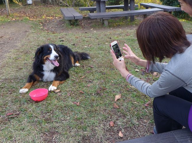 バーニーと行く○○・・・第３弾は九州編です。<br />我が家から鹿児島までは、約1300ｋｍ。これを40㎏の大型犬と小型トラックで行こう・・・ってわけだ。<br /><br />旅はトラブル、面白くないはずがない。