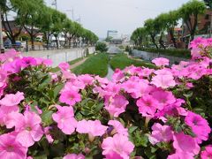 新緑の韓国 ロケ地めぐりの旅３日目 水原へ