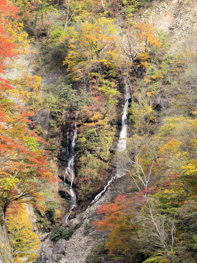 苗場山と鳥甲山に狭まれた、全長20kmにおよぶ中津川渓谷に点在する集落を、総称して「秋山郷」と呼びます。平家の落人伝説の秘境「秋山郷」には、独特な生活様式や文化がいまに息づき、「日本の秘境100選」に選ばれています。江戸時代の文人・鈴木牧之が、「秋山紀行」を著して初めて世に紹介されました。<br /><br />日本百名山の苗場山（なえばやま）は、標高2,145mあり、山頂付近の600haに及ぶ広大な湿地には、大小様々な地塘と高山植物が咲き誇ります。日本二百名山の鳥甲山（とりかぶとやま）は、標高2,037mあり、第２の谷川岳とも呼ばれ、中津川渓谷の西側に荒々しい岩肌を広げています。<br /><br />長野県栄村側の秋山郷では、秋山郷総合センター「とねんぼ」と水面に鳥甲山が映り込む「天池」、江戸時代の本家を再現した「のよさの里」、白い二筋の滝「夫婦滝」、川原の露店風呂「切明温泉」、迫力の柱状節理「布岩」に立ち寄りました。<br /><br />