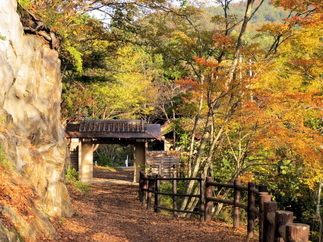 信州高山村の山田温泉の対岸、千曲川の支流松川が流れる渓谷沿いにあるのが「舞の道遊歩道」です。真赤な高井橋のたもとが遊歩道の入口で、全長約1.3km、約30分、山田温泉薬師堂上に至る、松川渓谷の深いV字谷を実感できる遊歩道です。<br /><br /> この「舞の道遊歩道」は、渓谷を茶庭(露地)に見立てて造られています。まず数寄屋造りの露地門が入口で、亭主の迎付を待つ外待合を経て、中潜りと呼ばれる中門、そして茶室に見立てた茅葺屋根の松楓庵に到着です。<br /><br />松川渓谷には落葉広葉樹林が多く、ヤマモミジやハウチワカエデ、イタヤカエデ、ブナ、コナラ、ミズナラ、クヌギなどが、黄色やオレンジ色、赤色、褐色に染まり、紅葉のこの時期多くの人々が訪れています。