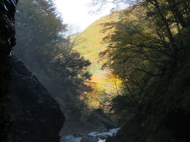 松川渓谷の「八滝」は、山田温泉の温泉街を抜け、山田入洞門をくぐった道路沿いにあります。 落差約180mを８つの滝壺を作りながら落ちる長い滝です。滝の総合落差180mは、長野県では１位です。平成8年に作られた展望台からのながめは水墨画のような光景で、新緑と紅葉の時期には特に人気があります。<br /><br />松川渓谷の「雷滝」は、松川の本流が雷鳴のように轟音を立てて落下しているのでその名が付きました。滝の裏側を通り見ることができることから「裏見の滝」とも言われており、松川渓谷の本流が頭上から落ちてきます。その迫力はすごいです。雷滝は、落差30m、川幅29m、岸壁の高さ40mあります。<br /><br />松川渓谷の山田温泉から山田牧場までは、距離約20km、標高差約700mあり、長い間紅葉を楽しめるスポットとして有名です。山田温泉・松川峡谷舞の道遊歩道（標高約800～900m）は、紅葉が色づき始めたところでした。八滝・雷滝・七味温泉（標高1,000～1,300m）は紅葉が見頃でした。奥山田温泉・笠岳峠（標高1,500～1,900m）の紅葉は終わっていました。