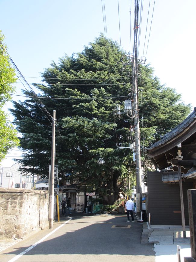 谷中界隈には数えきれないほどの寺が点在しています。一見何気ない寺にも、歴史と共に、寺独特のものが残っていたり、保存されたりしています。地図を片手に散策しているといろいろなものに出会えます。<br />今回は谷中1，2丁目を中心に歩いてきました。