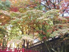 紅葉が始まったばかりの横蔵寺