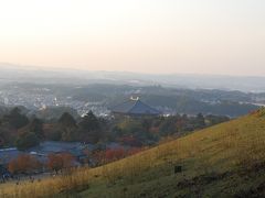 秋を感じて・・歩く奈良　（春日大社、若草山、二月堂へ）