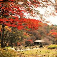 六甲の紅葉と極上のお宿