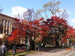 紅葉の札幌　北海道大学