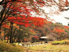 六甲の紅葉と極上のお宿