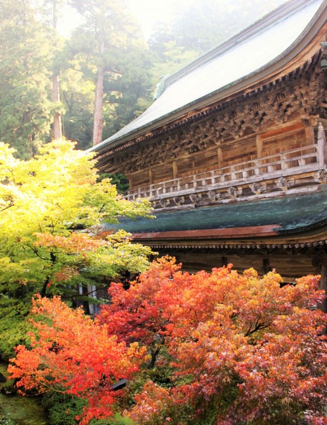 永平寺を訪れました。<br />広大な境内の中、回廊で結ばれている七堂伽藍を巡り心が洗われました。<br />現存１２天守である丸岡城も素晴らしかったです。<br />東尋坊では、断崖絶壁が続く景観に感動しました。<br />日本海の海の幸も味わい、充実した旅でした。<br />