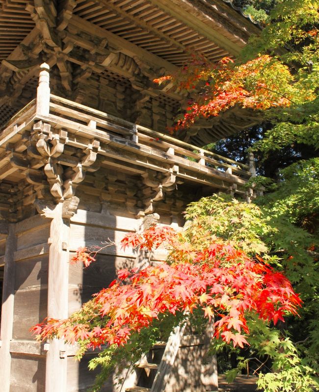 永平寺に行ったついでに小浜まで足を延ばしました。<br />目的は、明通寺の通常非公開の国宝三重塔内陣を特別公開しているから。<br />海の幸と鯖寿司にも惹かれました。<br />