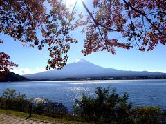 富士山と紅葉を求めて駿河路・甲斐路の旅　2日目　☆山中湖・河口湖