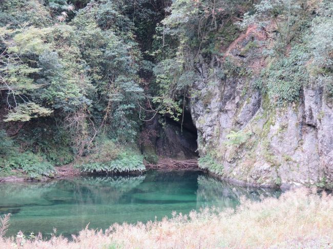 岩国から錦川清流線（錦川鉄道）で錦町まで来て、さらにバスに乗り換えて１４分で、この雙津峡（そうづきょう）温泉の唯一のホテルである錦パレス・ホテルに到着。この辺りは地図で見ると直線距離では島根県境から２ｋｍ以内だ。<br /><br />ホテルの建物はかなり古いが新築当時はユニークさを誇ったであろう。カルフォーニアや南欧にはありそうなデザインの影響を受けているようだ。館内もユニークな雰囲気。中央の階段の設計は大胆。アメリカのように全館冷暖房を平気で導入できるところならこれでもいいが、光熱費の高い日本では運用が大変だろう。<br /><br />近くの同一経営者による元湯に入り、さらに周囲を散歩しながら紅葉を楽しんだ。錦川の支流の宇佐川は本流と違ってダムなどがないそうで、自然の渓流のままだ。美しい！ここで夏、鮎釣りができれば最高だろう。<br /><br />１１月９日は秋なので、夕食に名物の鮎はでなかったが、ヤマメの刺身と子持ちのヤマメの塩焼きがどちらも美味であった。さらに最高なのは、川蟹をダシにした鍋で、これは絶品というべきだろう！今までこんな風味の鍋は食べた記憶がない。そうそうこの地方特産の刺身こんにゃくも捨てがたい。家内が錦町で買ってきたが、良質のこんにゃくは明らかに安物とはできが違う。地元のビーフが最後に出たが、これは感心しなかった。次回はイノシシ肉を頼みたいものだ。<br /><br />金雀という地物の日本酒をその都度、熱燗でいただき、夕食を楽しんだ。スタンダードというコースの食事だが、すばらしかった。従業員の応対も丁寧でいい。今度は夏、鮎のシーズンにぜひ来てみたい。蛍も見事だそうだ。<br /><br />ホテルの裏の橋を渡り、苔の美しい川に取り囲まれた場所は最高だ！山モミジが美しく紅葉し始めていた。さらに、澄み切った宇佐川の水と岩場の眺めも絶品というべきところだろう。午後と翌朝，二度、散歩を楽しんだ。温泉もゆったり何度も楽しんだ。客が少ないのは私には何の文句もない。風呂も独占状態だった。<br /><br />翌朝、出発するとき、ホテルの車で錦町まで送っていただいたが、途中で、雙津峡の一部を案内していただいた。自然のままだ。夏頃、孫たちを連れてきたくなった。<br /><br />ただ、建物の設計上、仕切りのない食堂や階段やロビーがつながっているので、暖房が効きにくく、冬は寒いのではないだろうか？対策はとるであろうが。。。この美しい自然環境を楽しむためにも春から秋が最高と見た。<br /><br />最初の一枚はホテルの裏に流れる澄み切った宇佐川の清流。子供のころ、清流で鮎釣りを親父としていた時代を思い出した。そこはダムで環境が破壊されたが。。。