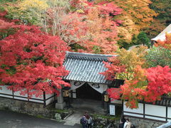 もうすぐ紅葉が見頃！ そんな京都に行ってみた